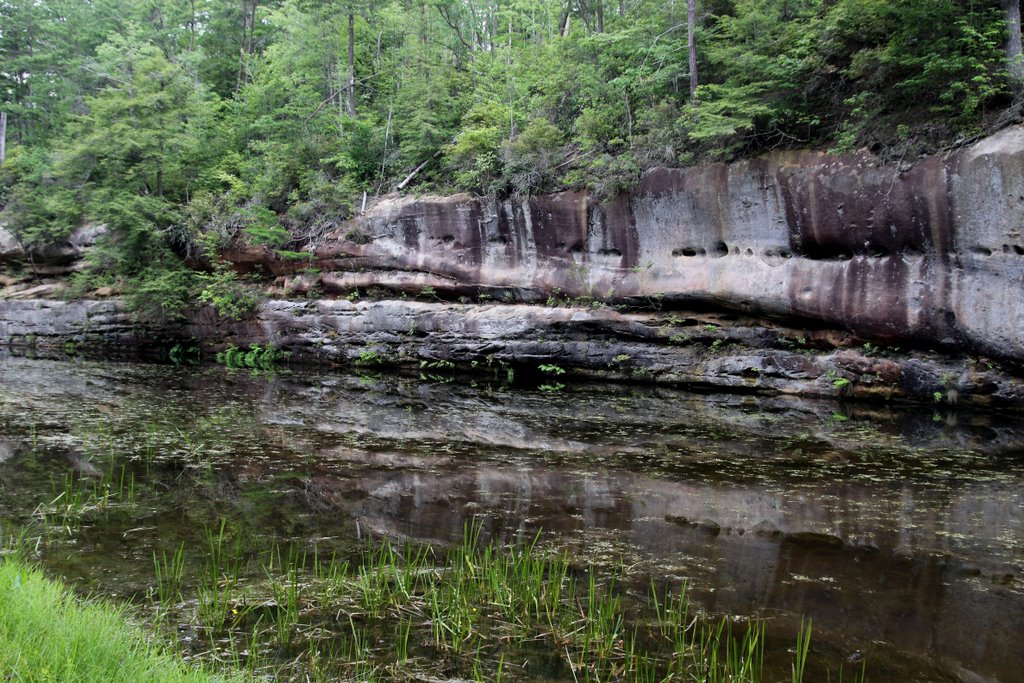 Pickett State Park Picnic Area Stream, Near Jamestown, TN, Бакстер