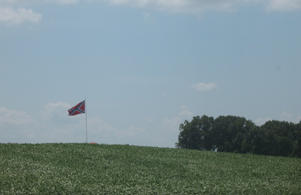 Confederate flag off 155, Глисон