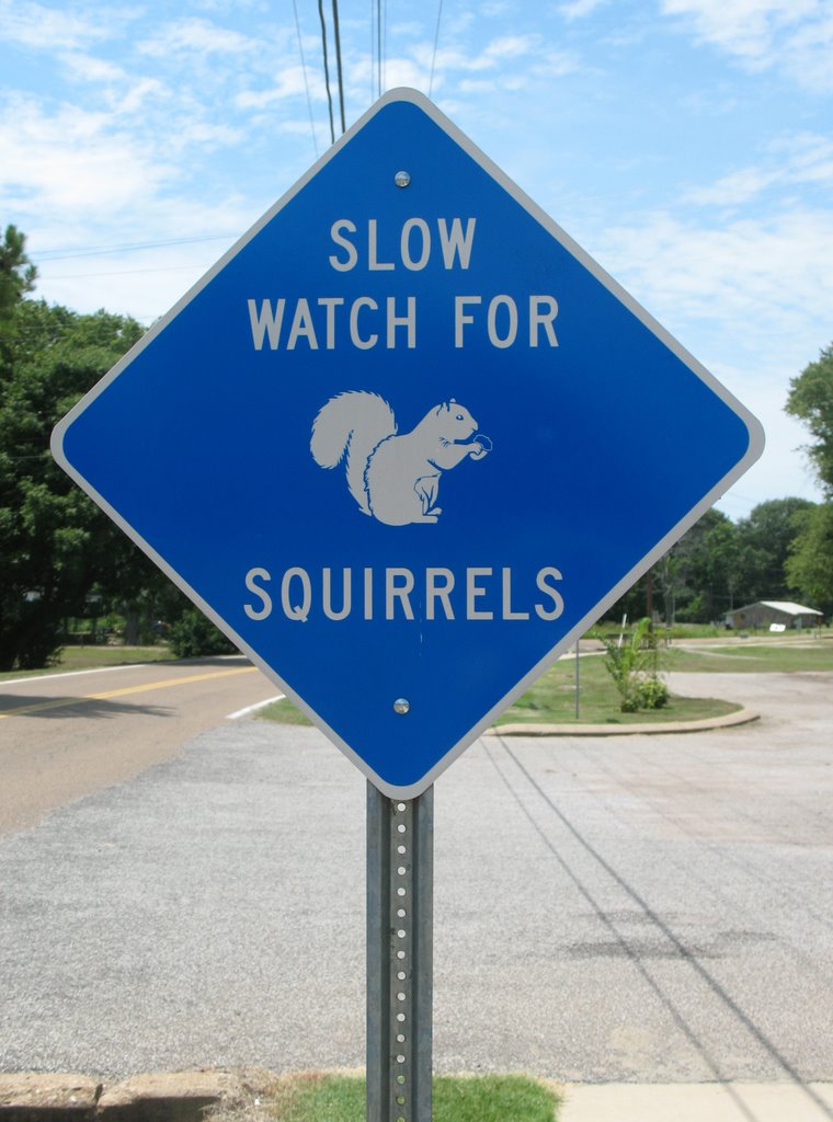 Watch for White Squirrels, Кентон