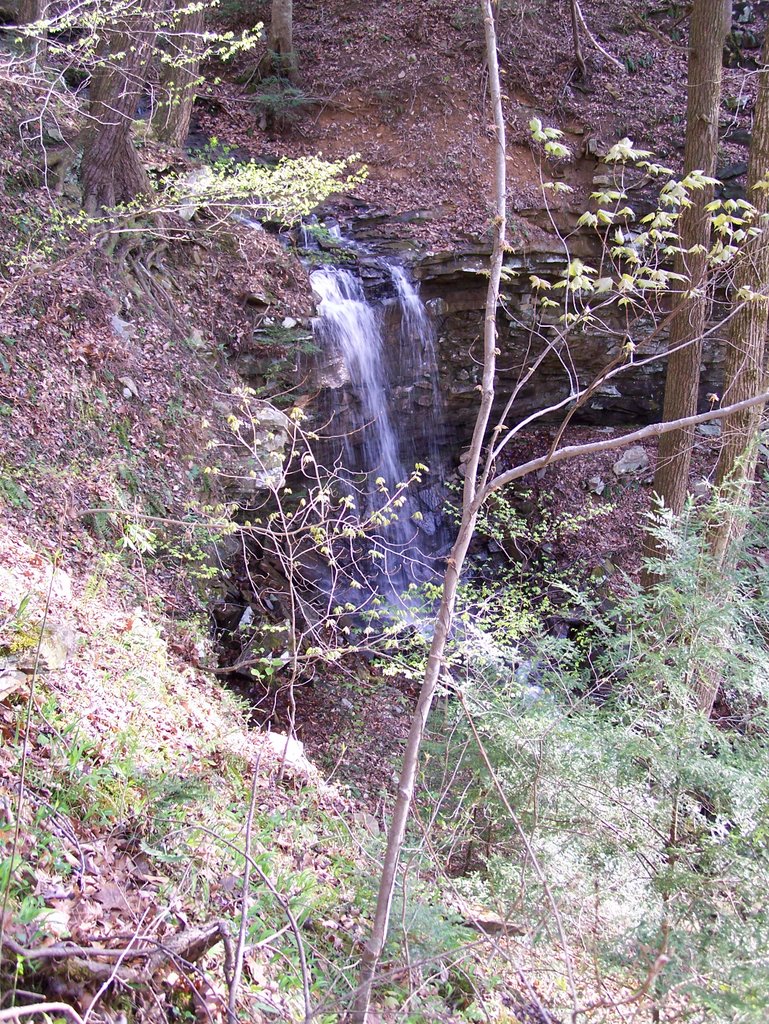 Waterfall, the Village on Sewanee Creek, Коалмонт