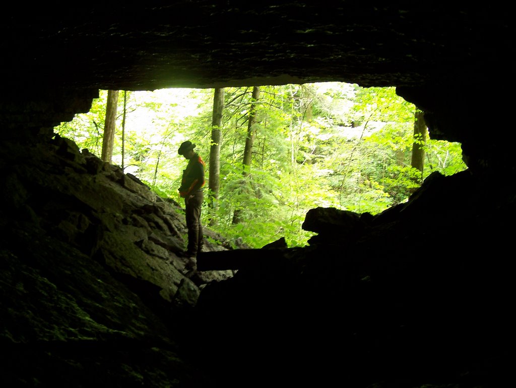 Cave on Sewanee Creek, Коалмонт