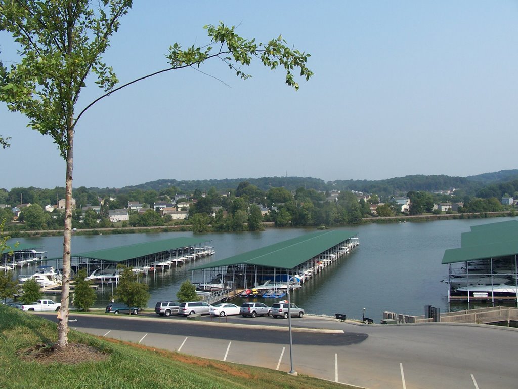 Concord marina in West Knoxville TN, Конкорд