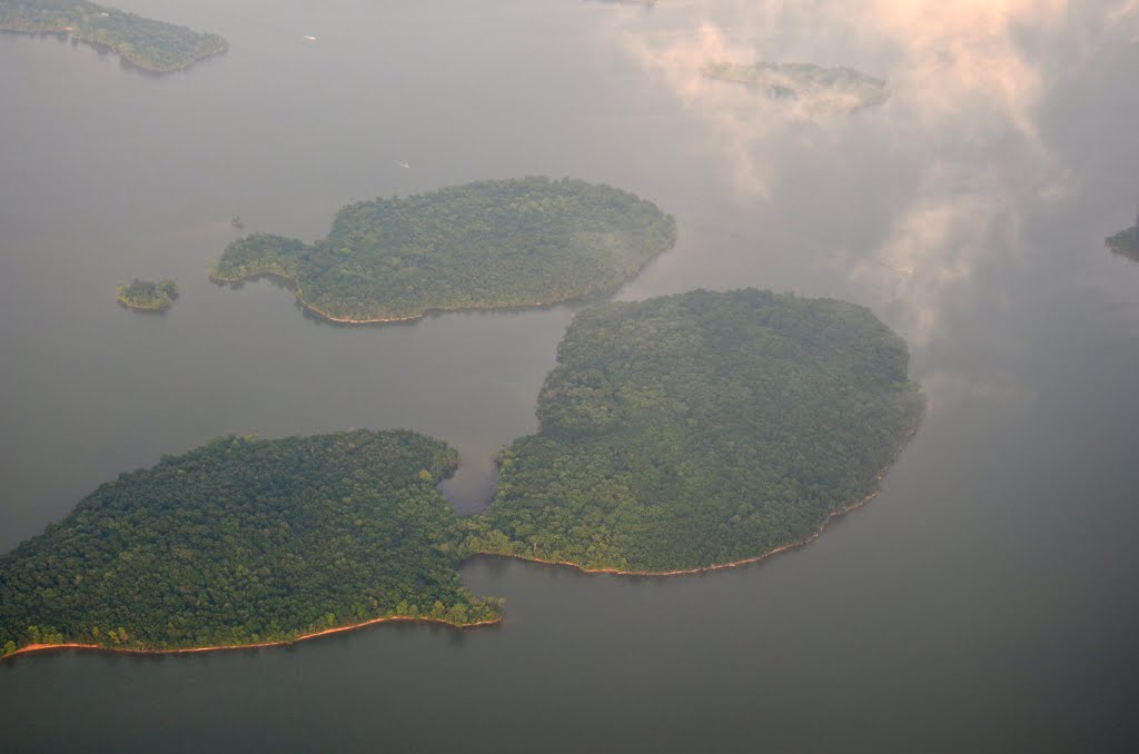 Islands in Percy Priest Lake, Ла Вергн
