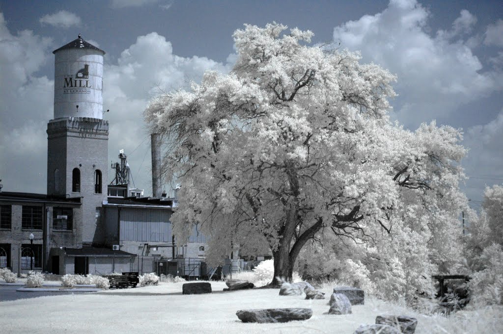 The Mill in Infrared, Лебанон