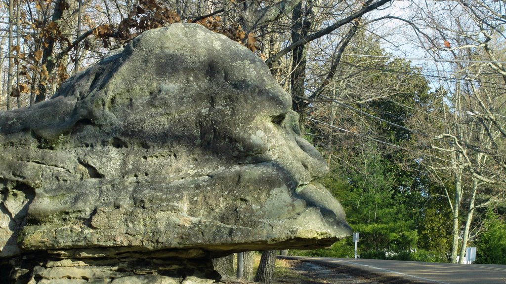 Profile Rock Formation, N Bragg Avenue, near Point Park, Lookout Mountain, Лукоут Моунтаин