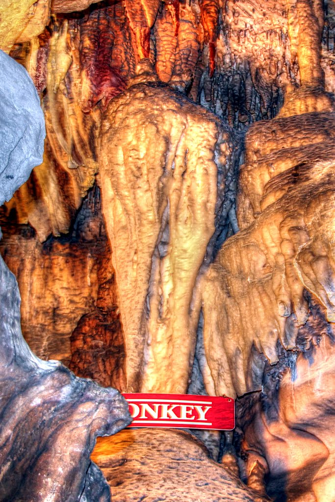 "Donkeys rear end," Ruby Falls Cave, TN, Лукоут Моунтаин
