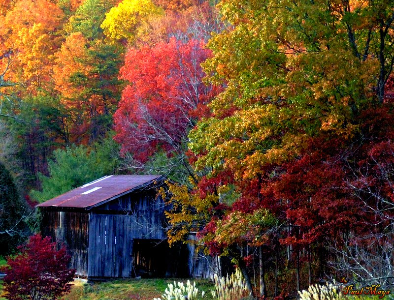 Fall in Heidrick, Kentucky,, Миддл Валли