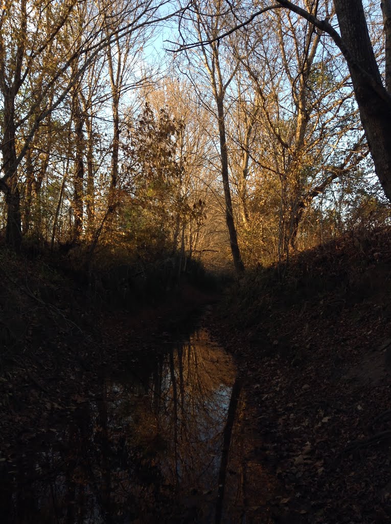 Bear Creek in Fall, Миллингтон