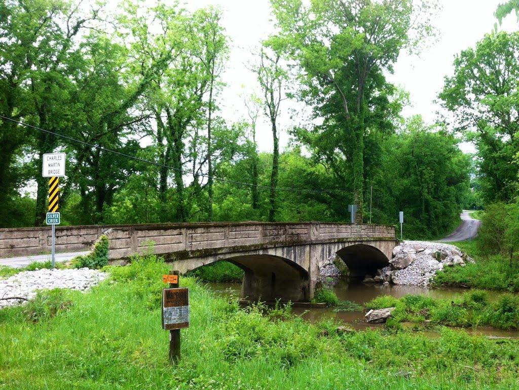 Arch Bridge over Silver Creek Maury County Tennessee (Charles Martin Bridge), Минор Хилл