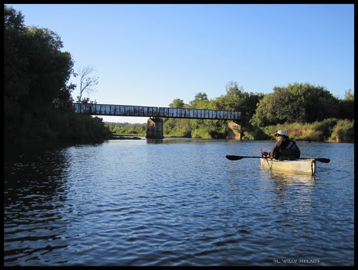 Railroad Bridge at Iron City, Мичи