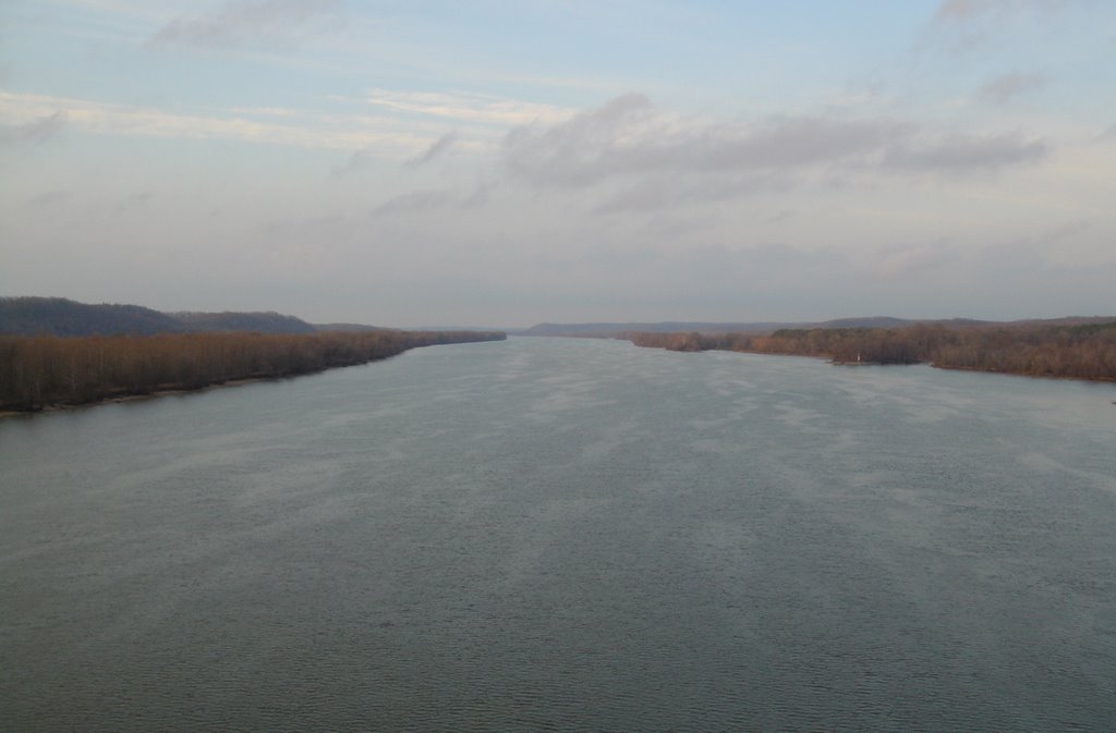 Tennessee River (Kentucky Lake), Мичи