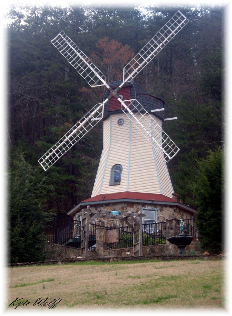 Charming Helen Windmill, Ниота
