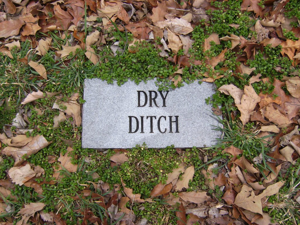 Dry Ditch at Fort Dickerson Park, Ноксвилл