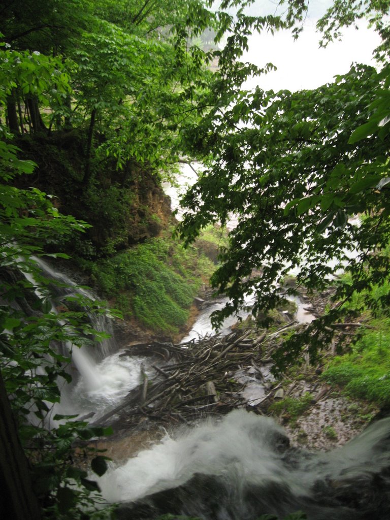 Mill Springs Falls (~50), Онейда