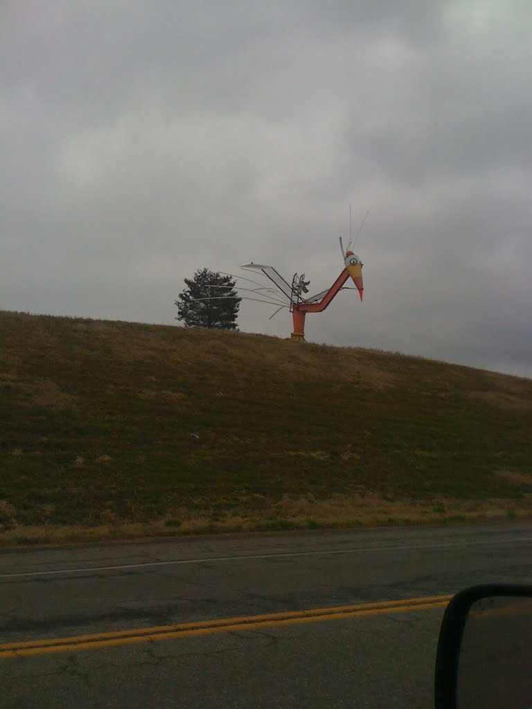 Bird Windmill along Old Knoxville Highway just 1/2 mile south of Maryville Pike., Рокфорд