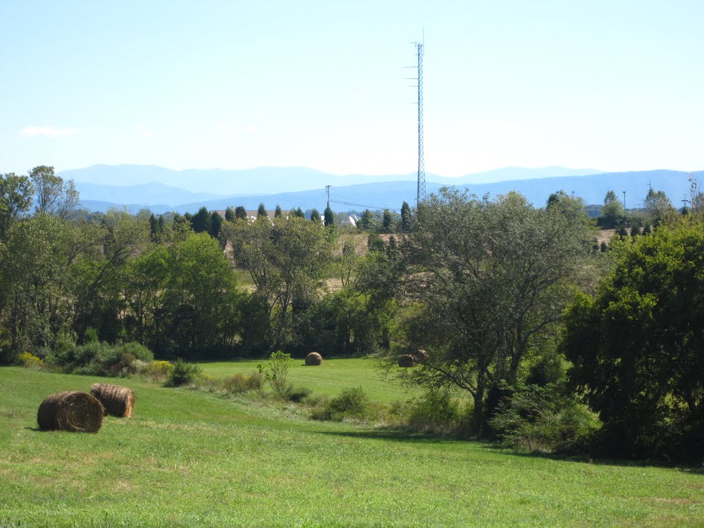 Mountain Views from Land, Рокфорд