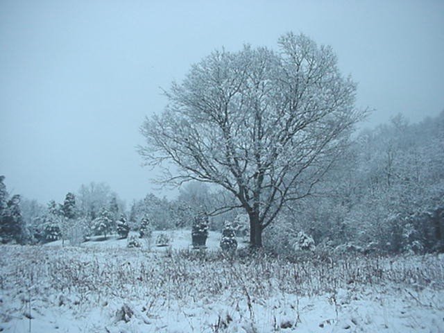 A Winter Scene in Clinton, TN, Саут-Клинтон