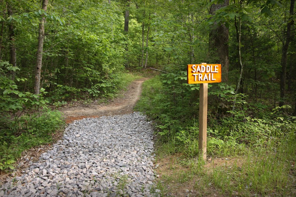 Saddle Trail from Greenway to Haw Ridge, Tennessee, Саут-Клинтон