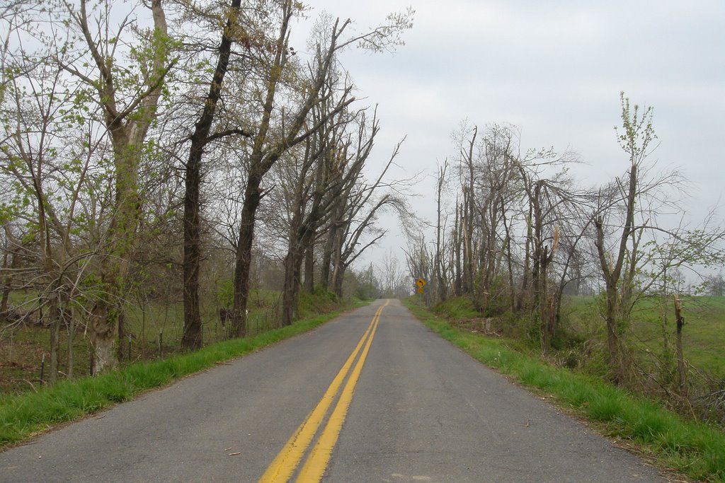 Ice storm Damage in Graves County KY, Трезевант