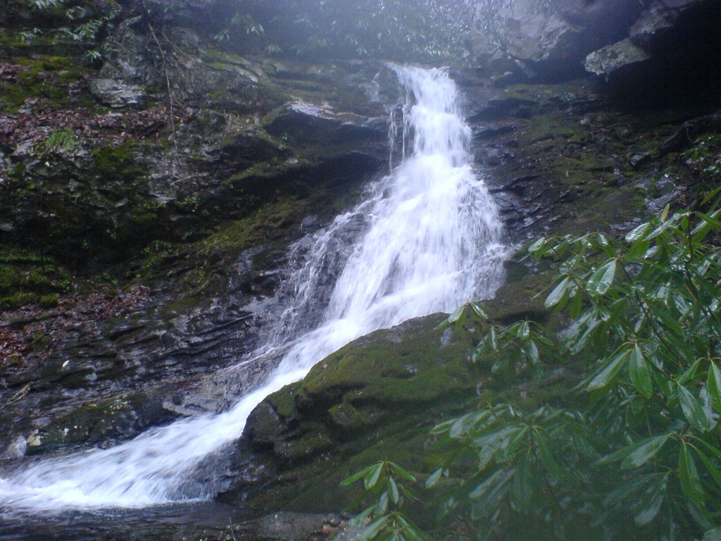 Squibb Creek Falls, Хамптон