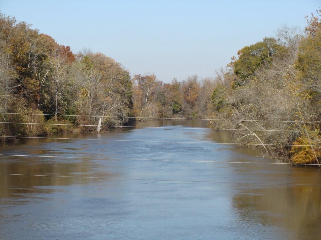 Hatchee River between Brownsville and Covington, TN, Хорнсби