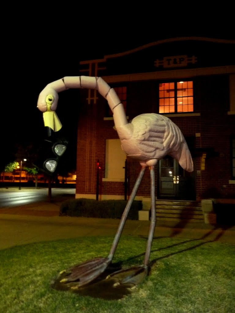Flamingo are Bigger in Texas, Abilene, TX, 2011, Абилин