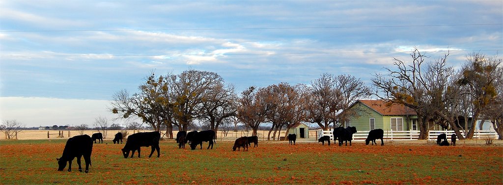Abilene Ranch, Аспермонт