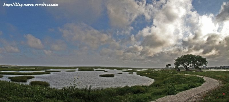 Estuary at Galveston, Бренхам