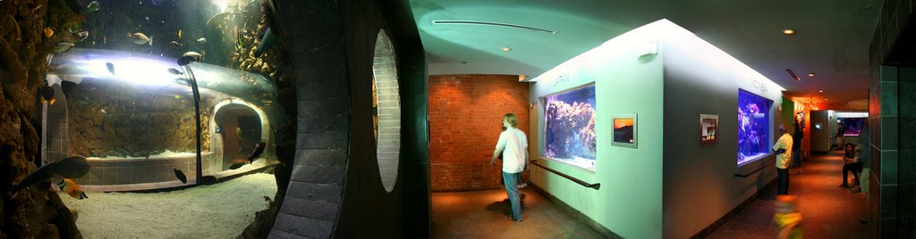 Dallas World Aquarium / Dallas / Texas, Даллас