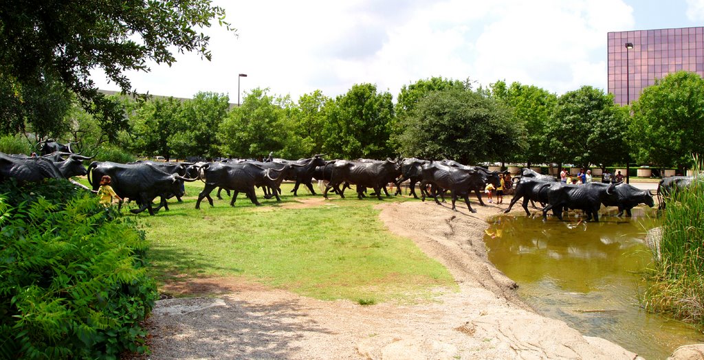Cattle Crossing Statues Dallas Texas / Olympus C5000 / Panorama Factory, Даллас