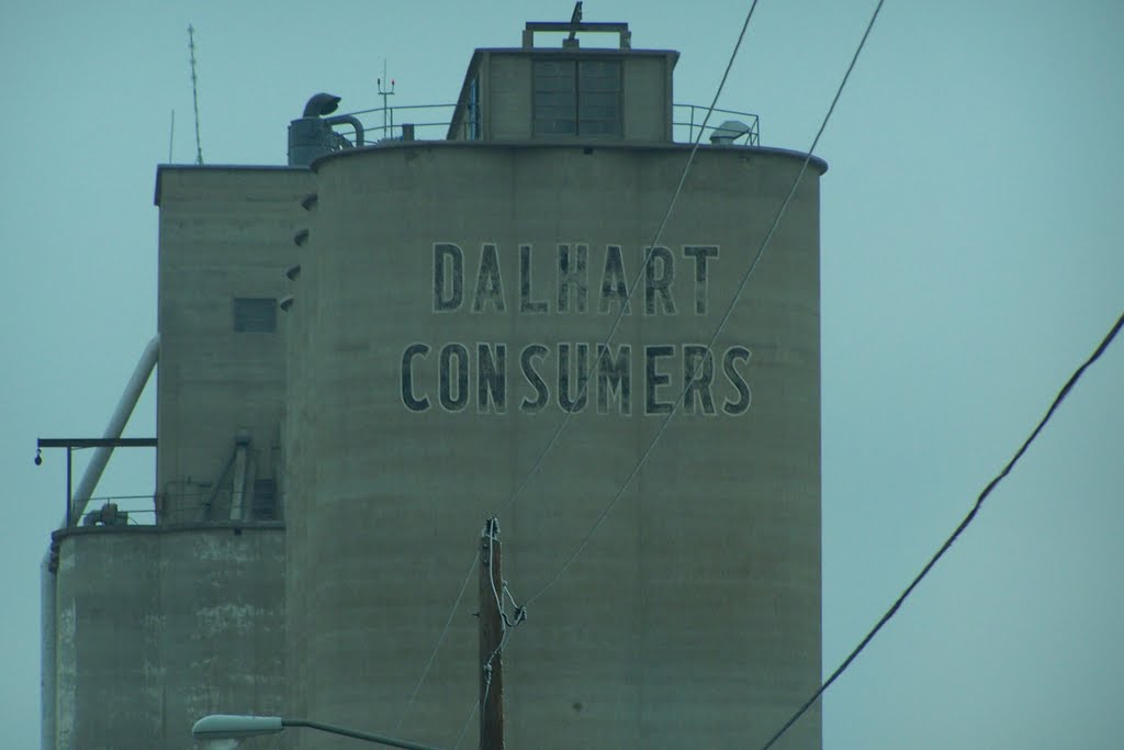 Dalhart consumers, Далхарт