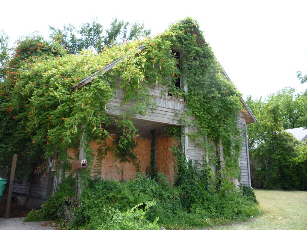 Green House, E. Sycamore St., Denton, Texas., Дентон