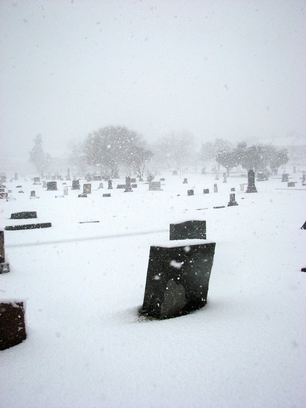 Snow Day (2008), Дентон