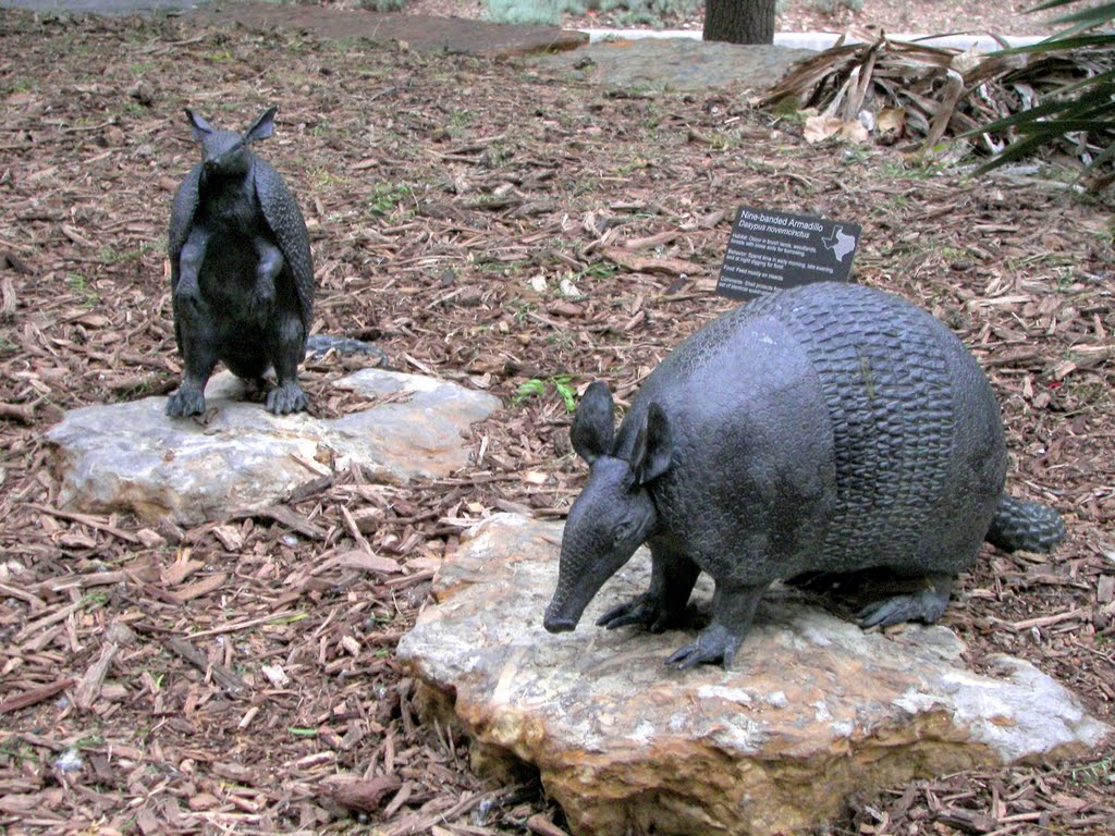 David Iles bronze nine-banded armadillo, Environmental Education Science & Technology Building, University of North Texas, Denton, TX, Дентон