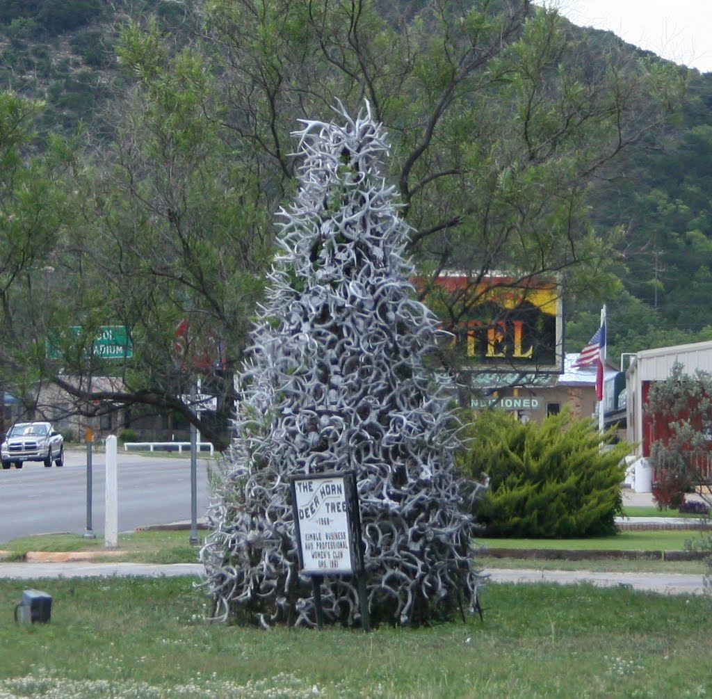 Deer Antler Christmas Tree, Джанкшин