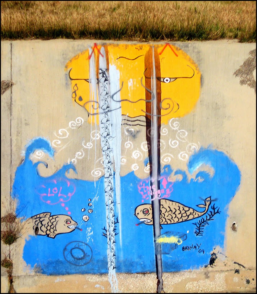 Graffiti on Wall of Drainage Ditch, Дир-Парк