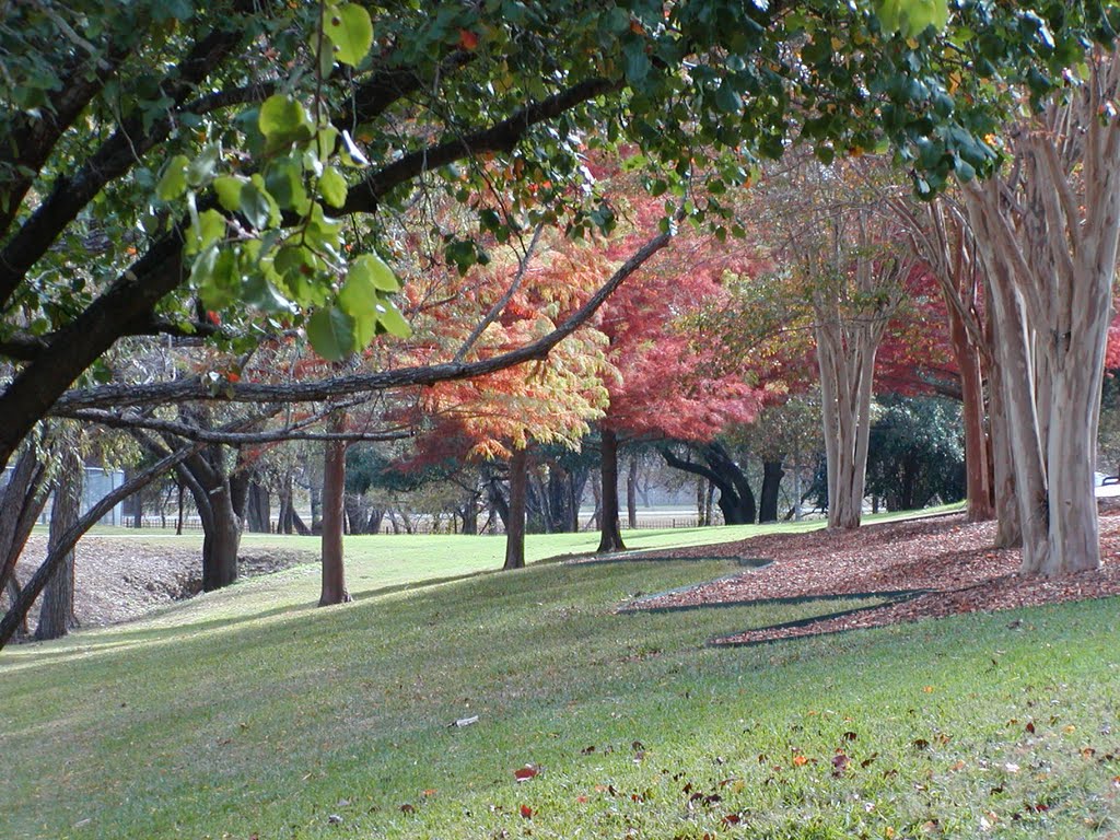 Autumn in Bel Meade Park, Кирби