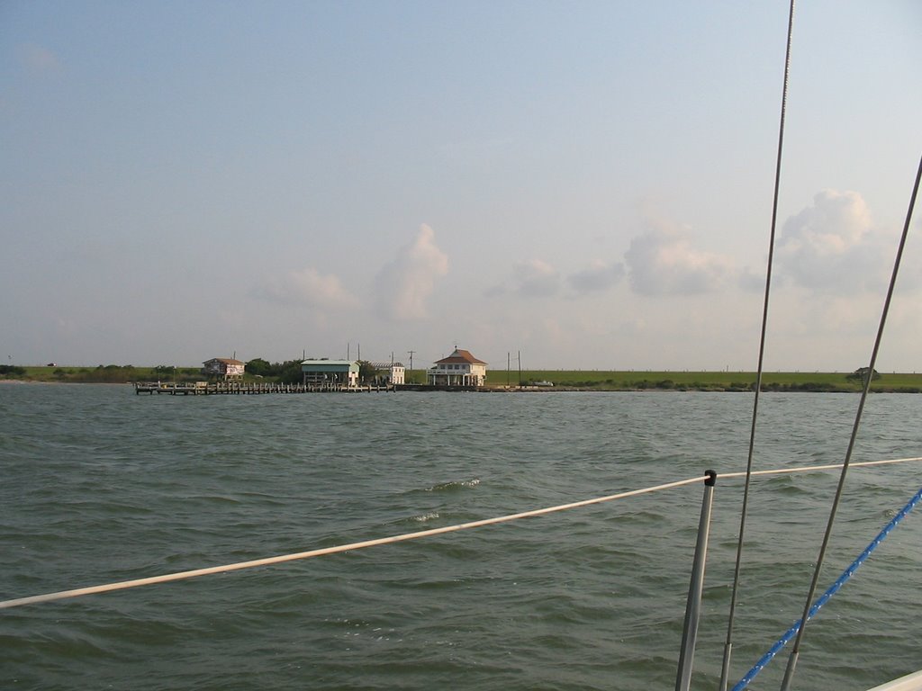 Shore of Galveston Bay, near Texas City, Комбес