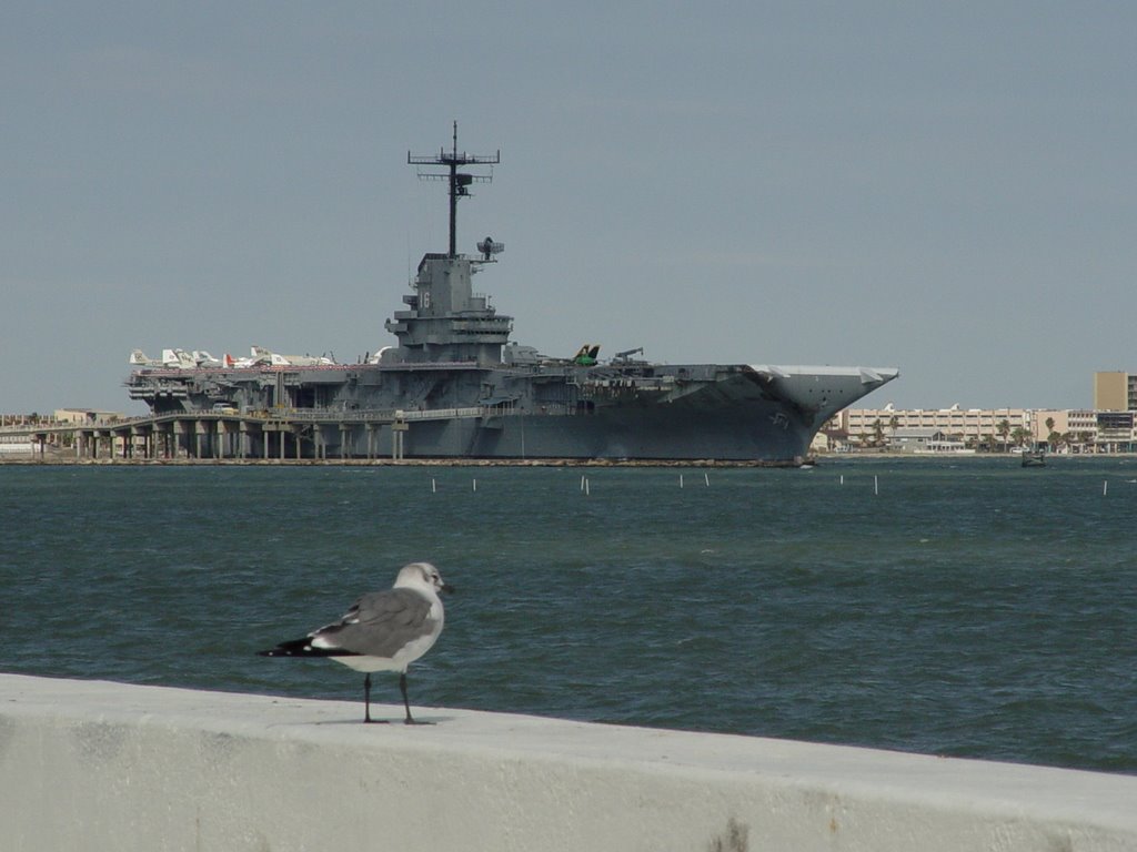 20090609-CDXX-USS Lexington from Shoreline Blvd.-Corpus Christi, Корпус-Кристи