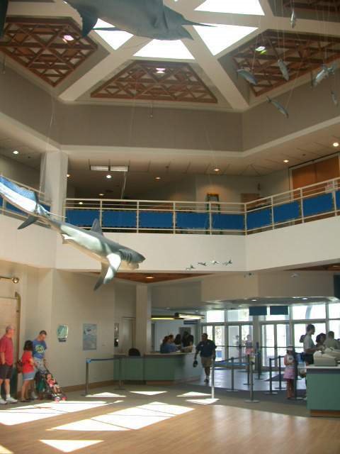 Texas State Aquarium - Corpus Christi, TX, Корпус-Кристи