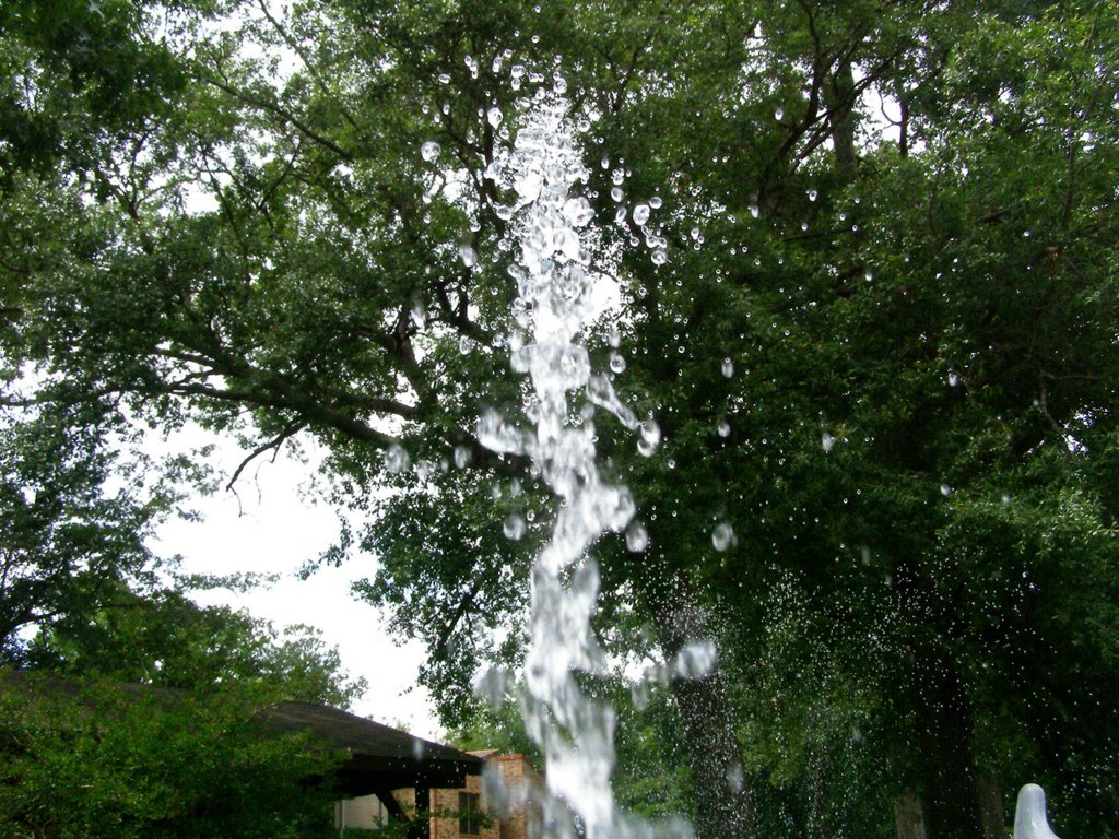 Fountain at Rotary Park, Лонгвью