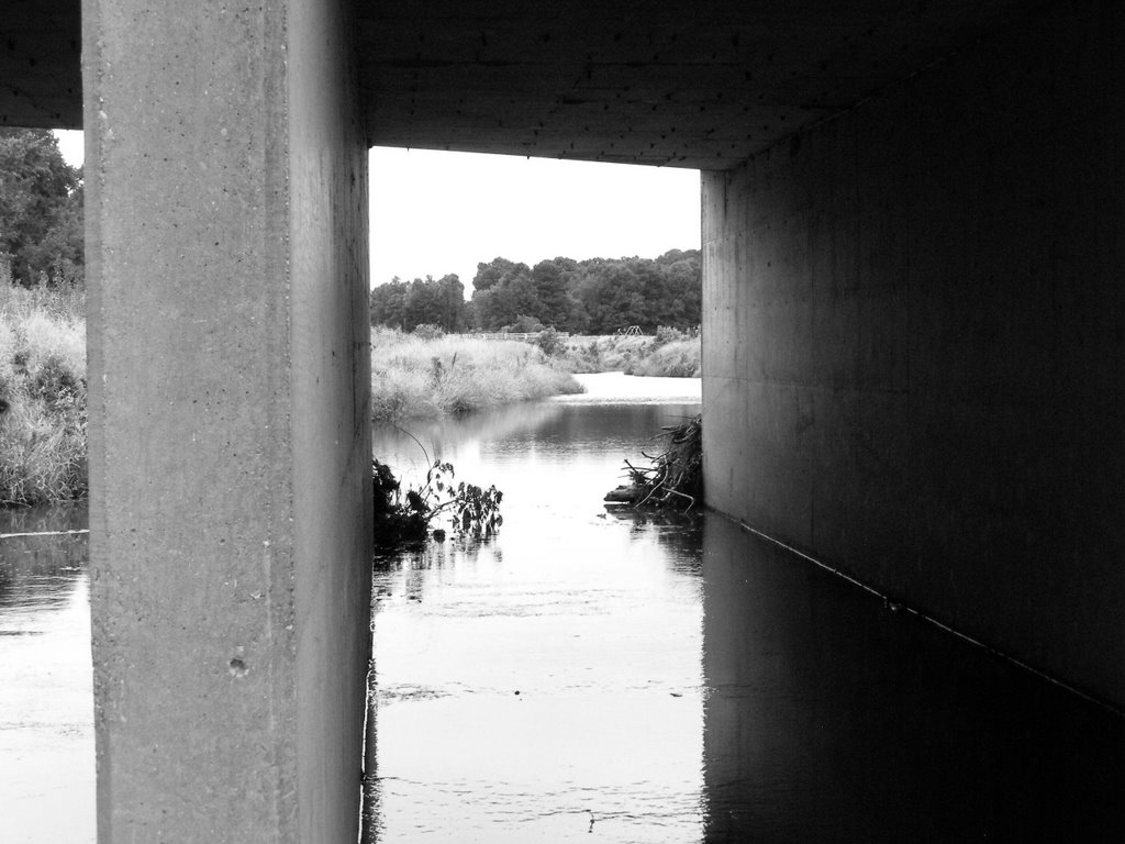 Under the Bridge, Лонгвью