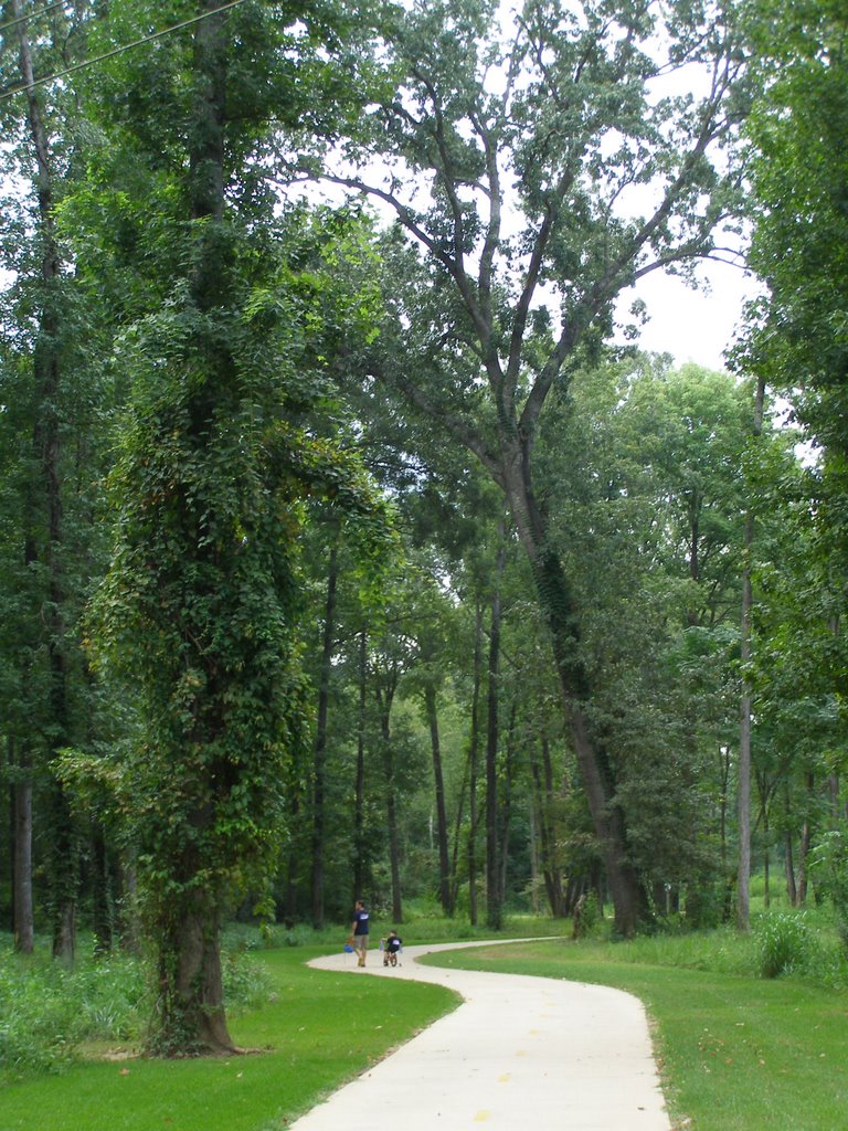 US 80 Trailhead, trees near jackson park longview tx, Лонгвью