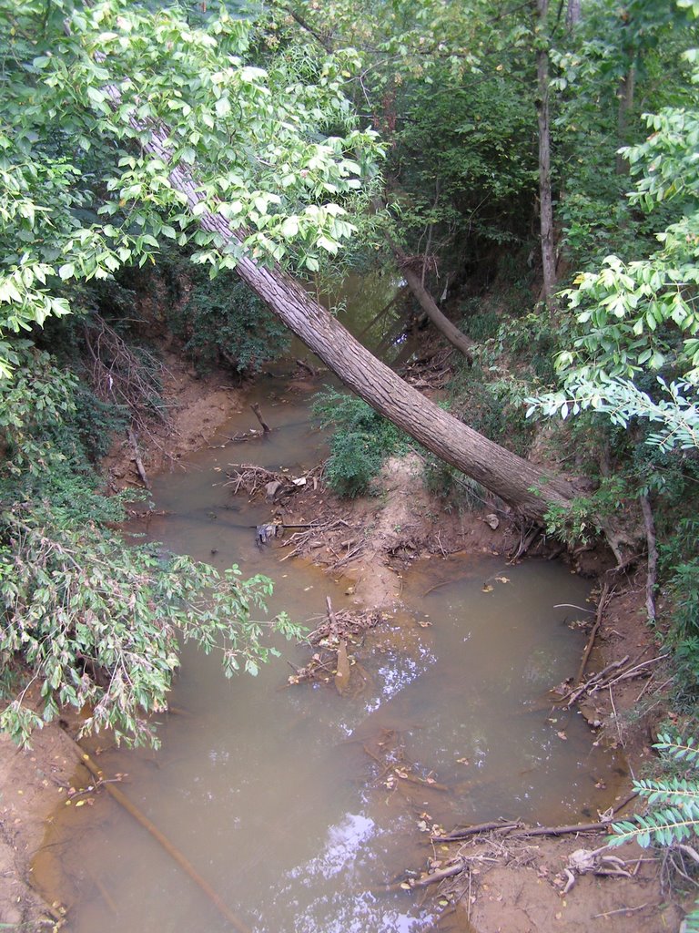 Creek near Princeston Ave, Лонгвью