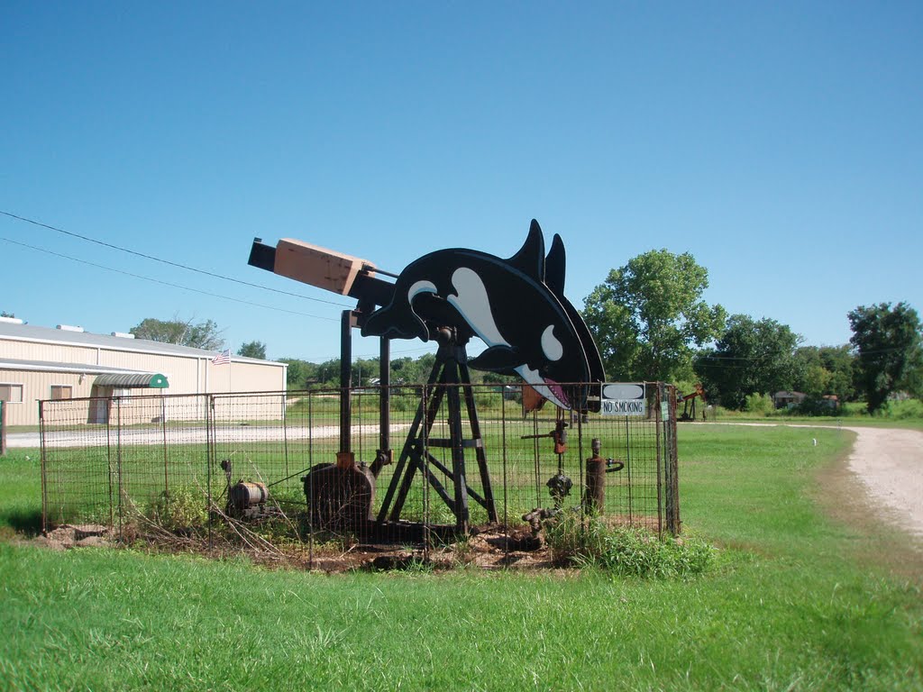 Decorated Petroleum Pump, Luling, Texas, Лулинг
