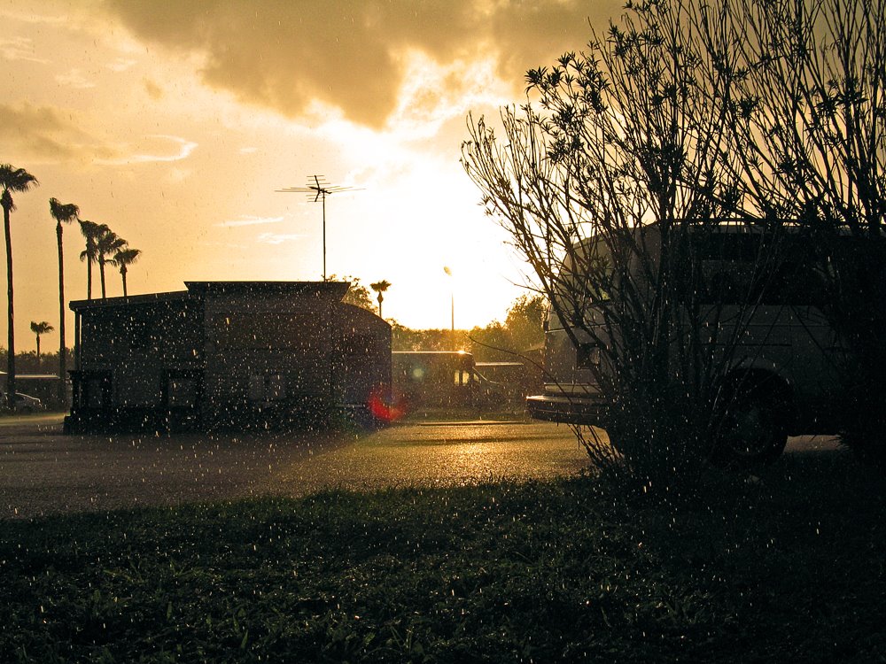 Rain at The Homestead Trailer Park, Мак-Аллен