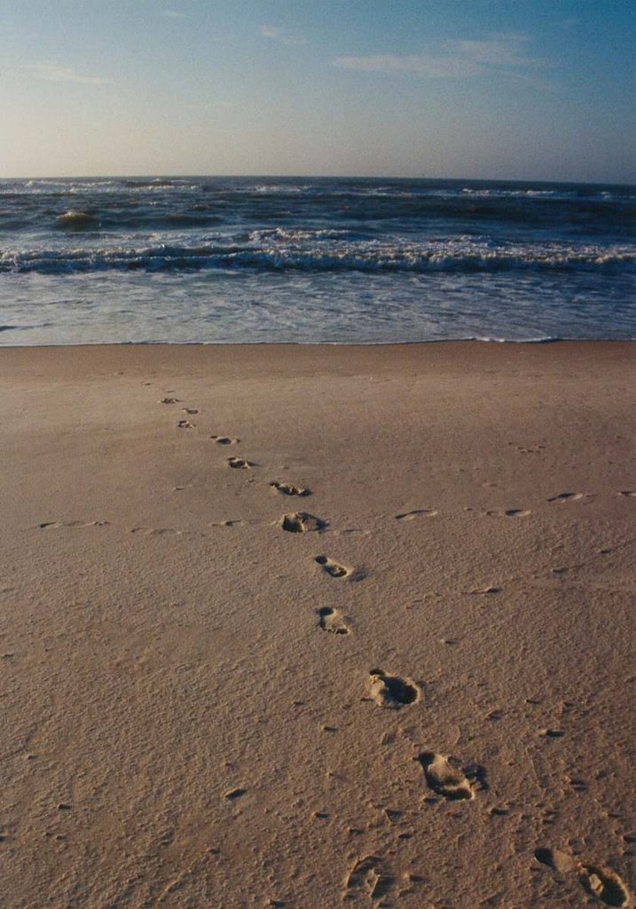 Footsteps in the Sand - 2004, Одем