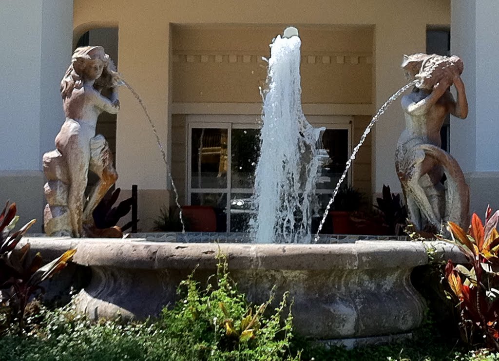 Fountain, Одем