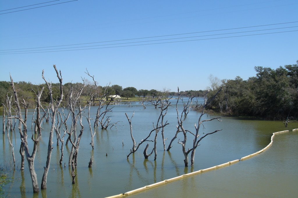 Coleto Creek Reservoir, Одем