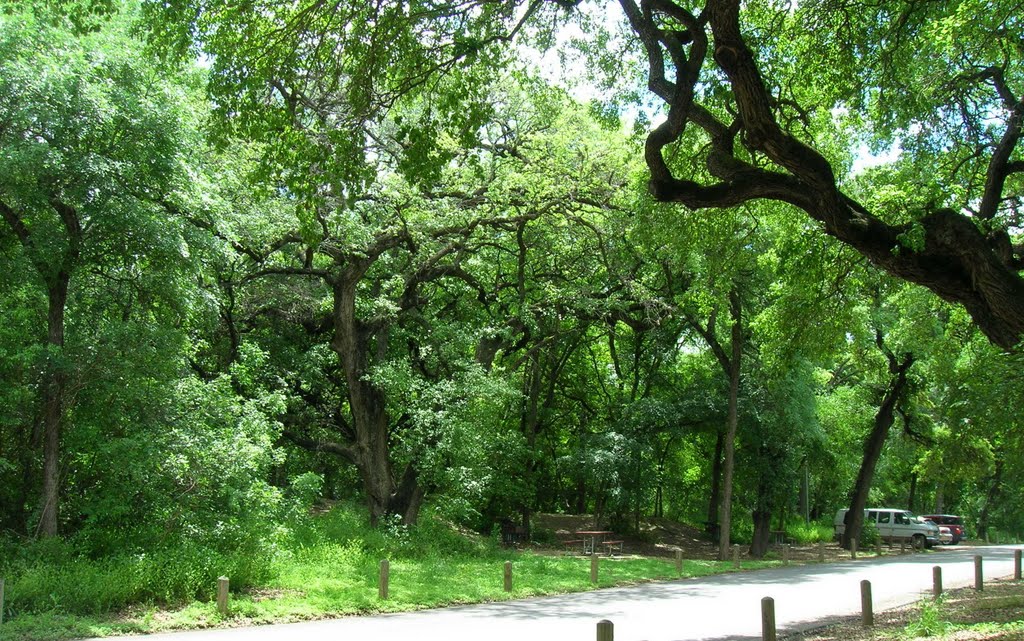 San Antonio.Brackenridge Park, Олмос-Парк